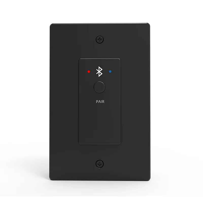 2CH Bluetooth Dante 패널